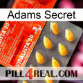 Adams Secret new01